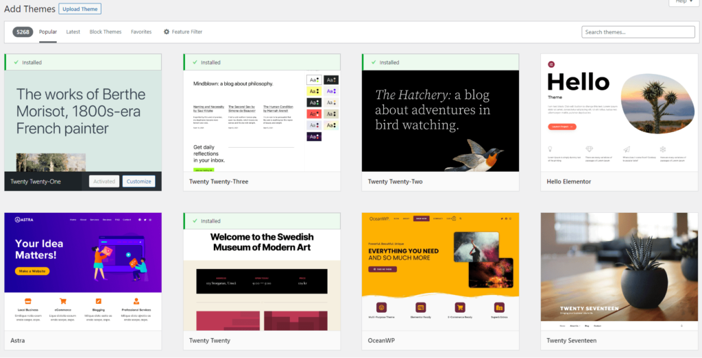 pilih theme wordpress