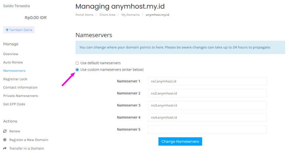 cara ganti nameserver domain