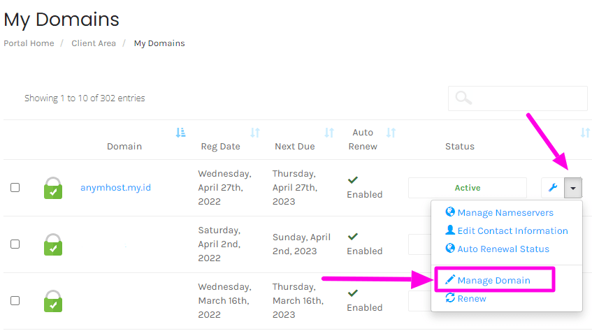 Cara Membuat Nameserver Dengan Domain Sendiri - AnymHost