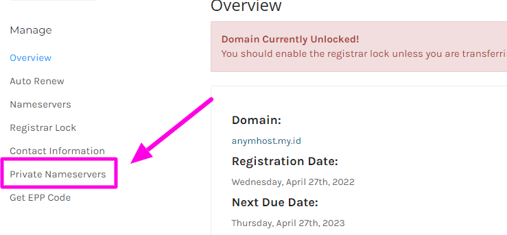 buat nameserver pakai domain sendiri