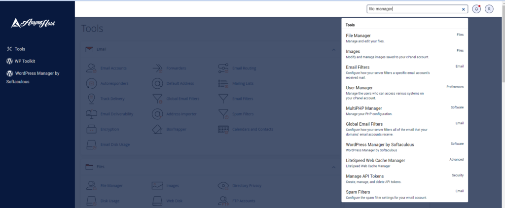 cari file manager hosting