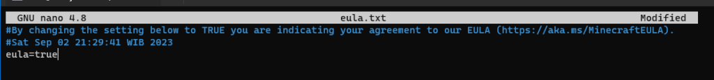 eula minecraft server