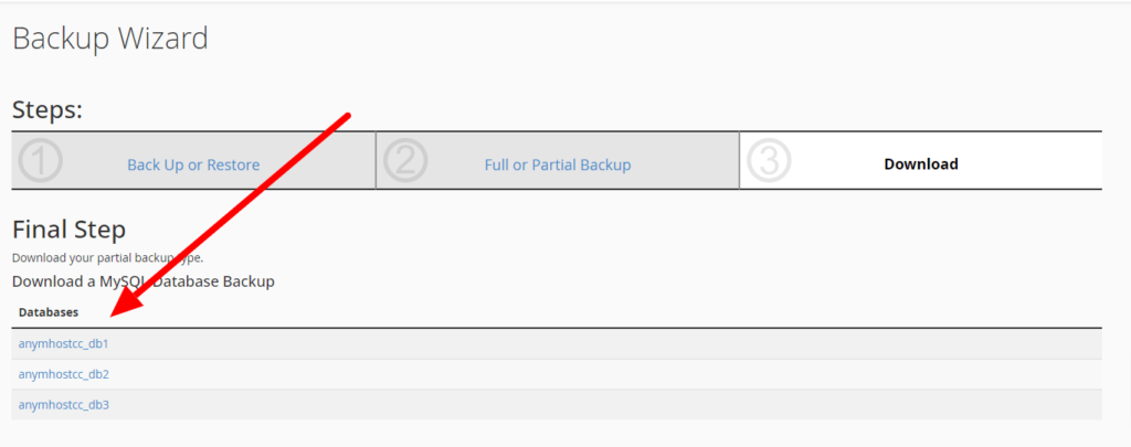 backup database hosting anymhost
