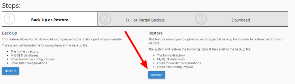 restore data hosting