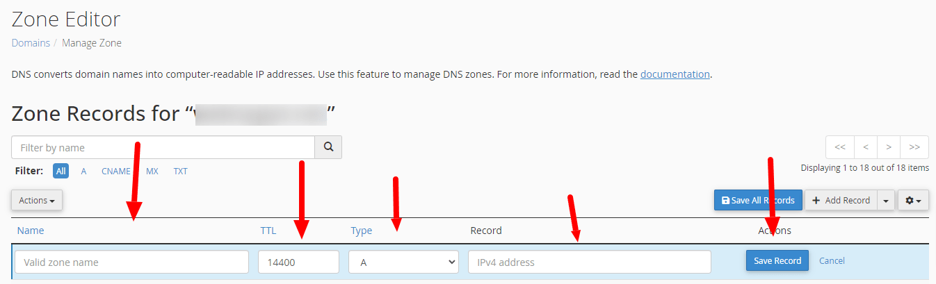 add new dns record in cpanel
