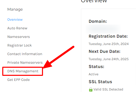 dns management domain anymhost