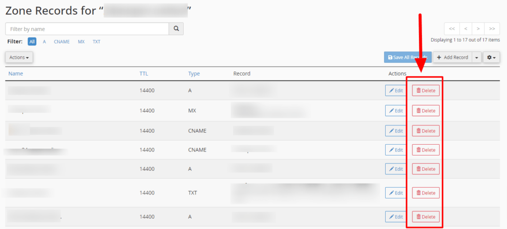 menghapus dns record