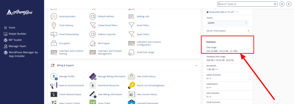 disk usage cpanel anymhost