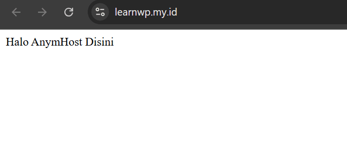 flask python hosting anymhost