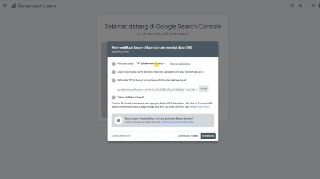 dns record google search console
